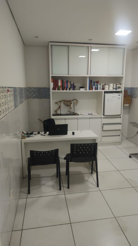 Consultório clínico com esqueleto anatômico
