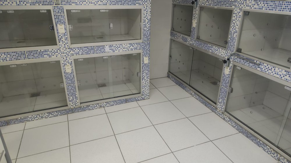 Internação de cães e gatos com compartimentos de vidro