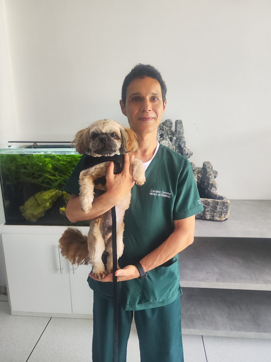 Dr. Luciano Saraiva Gonçalves com paciente cachorro em atendimento