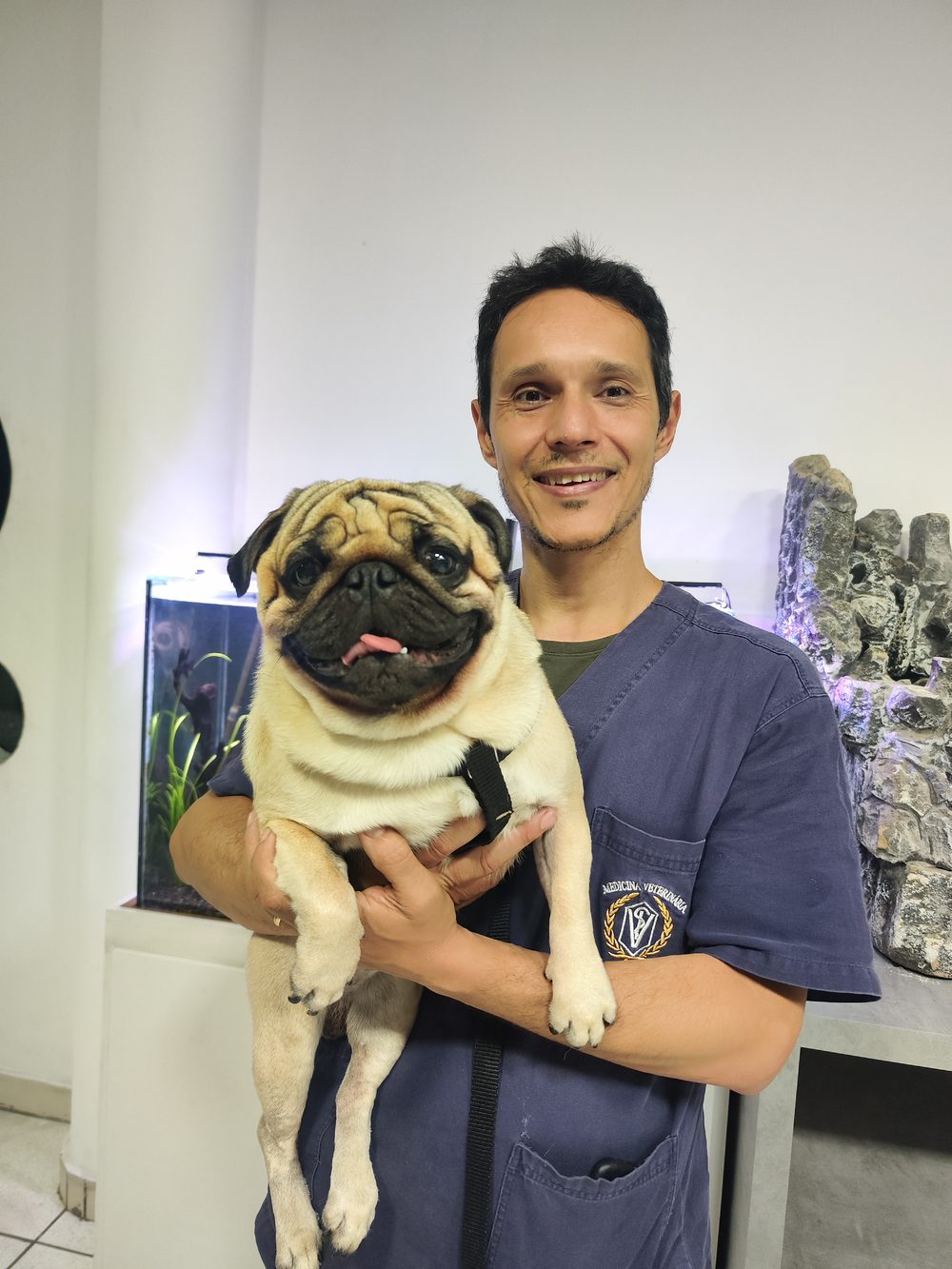 Dr. Luciano Saraiva com cachorro pug no colo durante consulta
