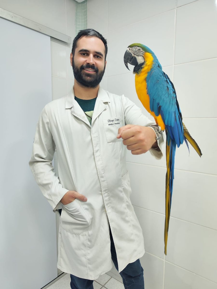 Dr. Thiago Freitas segurando arara em atendimento na Clínica Propet